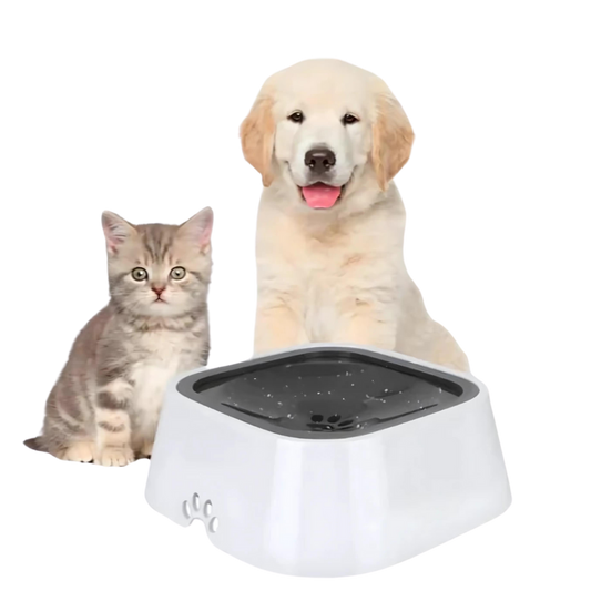 Smart Drinking Bowl