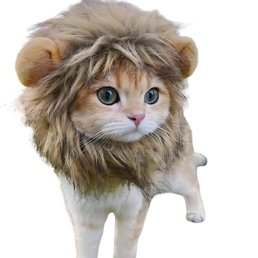 Lion Costume (Limited Edition)