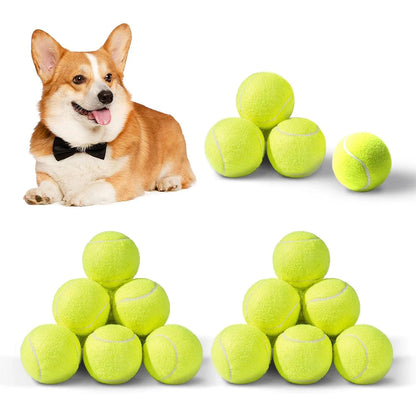 CanineCatch Pro Tennis Balls