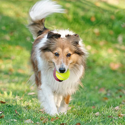 CanineCatch Pro Tennis Balls